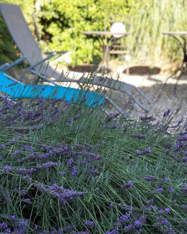 Ferienwohnung Am Gaessle Ettenheim Esterno foto