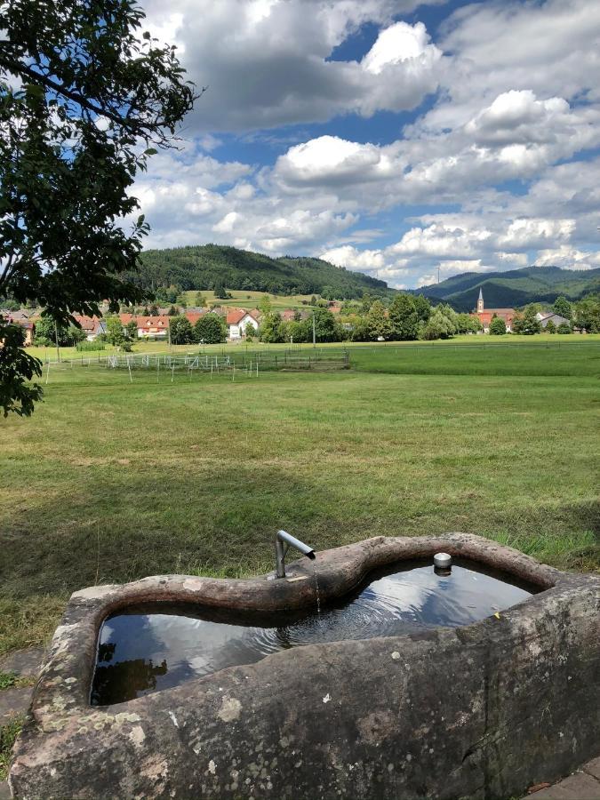 Ferienwohnung Am Gaessle Ettenheim Esterno foto